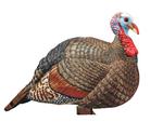 H.S. Strut Jake Snood Collapsible Turkey Decoy  07601 | 34418